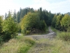 Mestské lesy