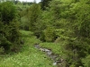 Mestské lesy