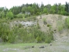 Mestské lesy
