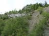 Mestské lesy