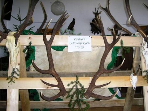 výstava trofejí