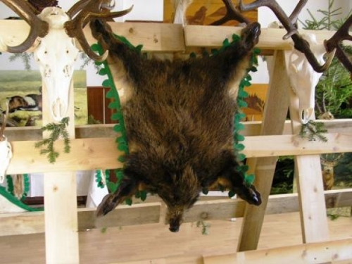 výstava trofejí