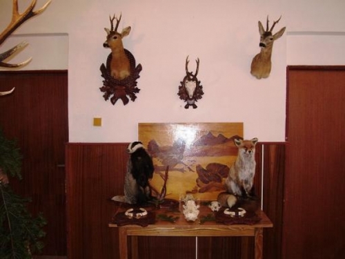 výstava trofejí