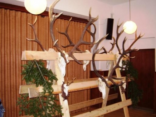 výstava trofejí