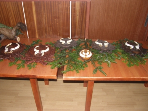 výstava trofejí