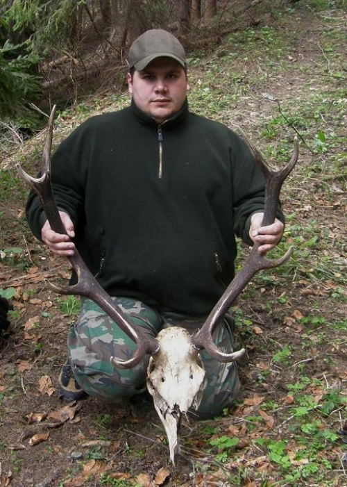 nájdený jeleň