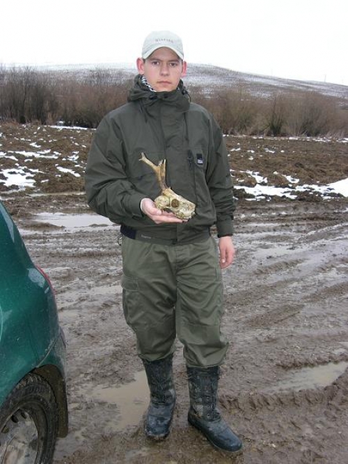 nájdený srnec