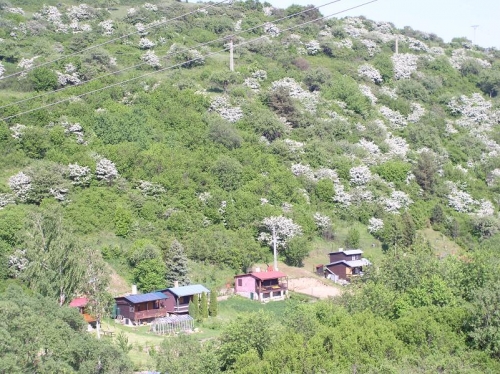 záhradková osada Ružový sad