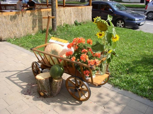 výstava výpestkov