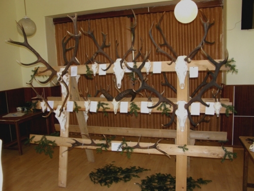 výstava poľovníckych trofejí 