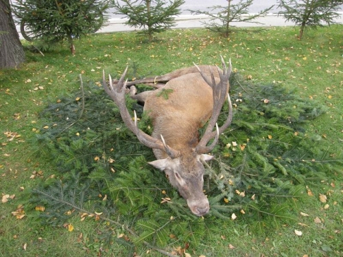 Deň Svätého Huberta 2010