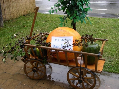 Záhradkári vystavovali
