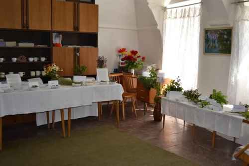 Výstava bylín