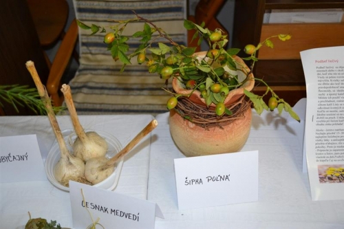 Výstava bylín
