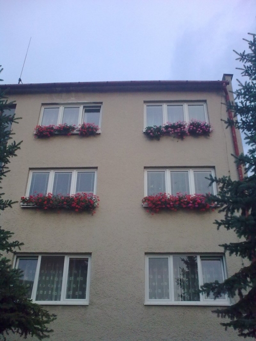 Hovanová, Promčáková, Tribulová 4