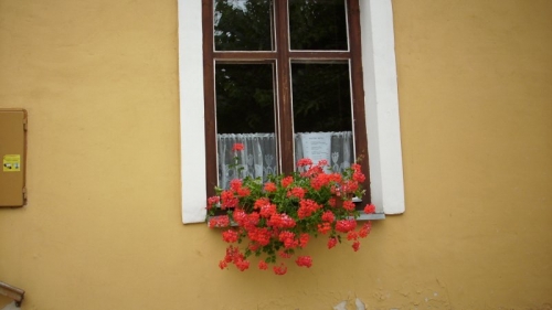 p. farárka Kováčová 3