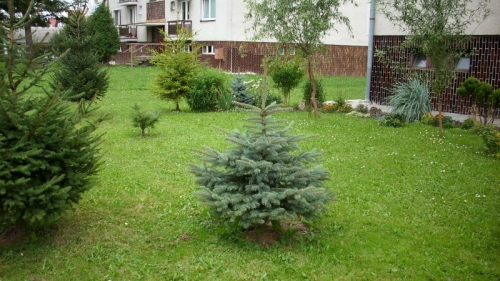 p.Friedová 3