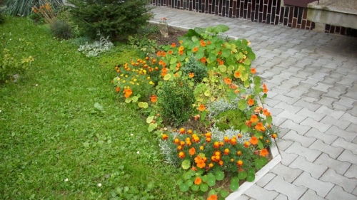 p.Friedová 4