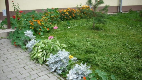 p. Socha, p. Strakulová 3