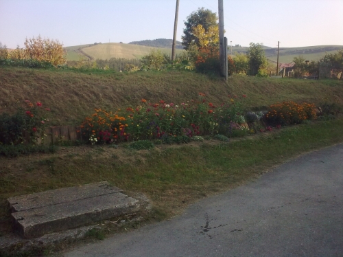 p. Zavacká  R6