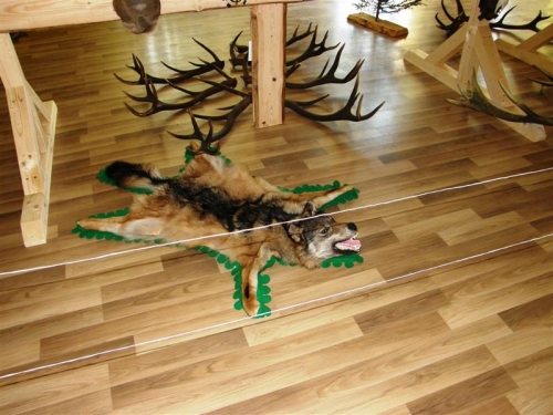 Hubert 2011