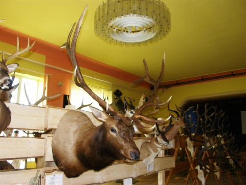 Hubert 2011