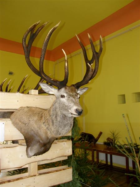 Hubert 2011