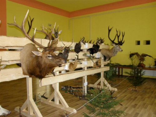 Hubert 2011