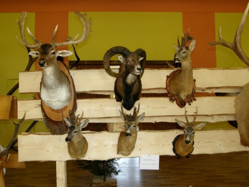 Hubert 2011