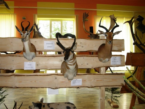 Hubert 2011