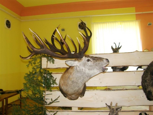 Hubert 2011