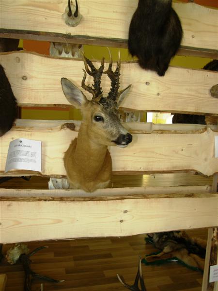 Hubert 2011