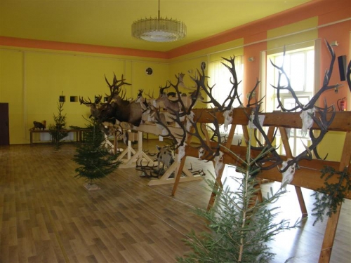 Hubert 2011