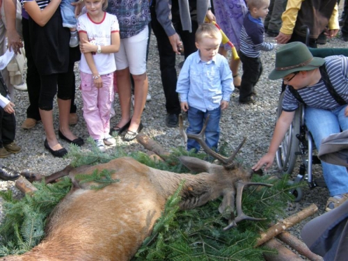 Hubert 2011
