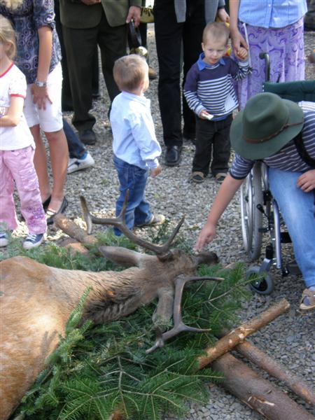 Hubert 2011