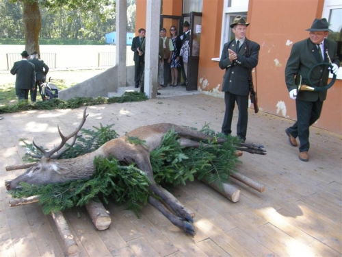 Hubert 2011