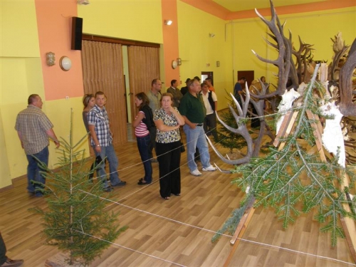 Hubert 2011