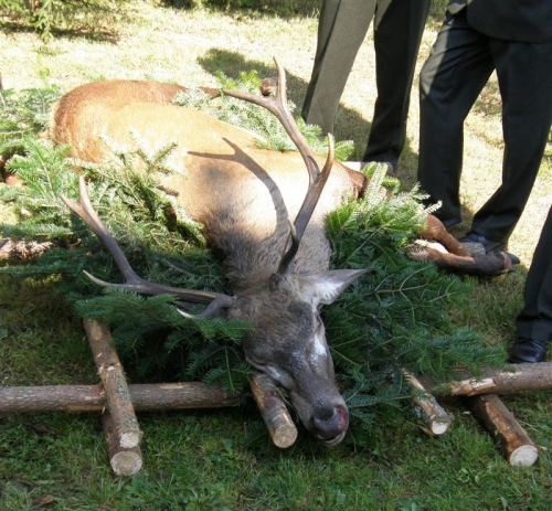 Hubert 2011