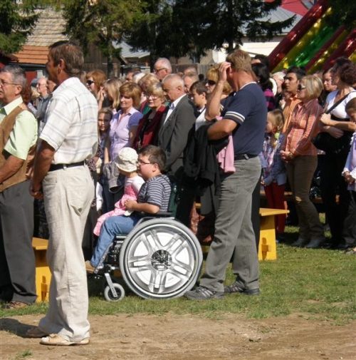Hubert 2011