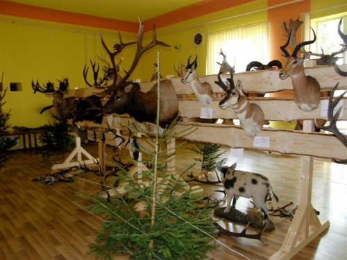 Hubert 2011