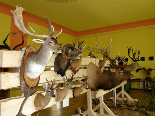 Hubert 2011