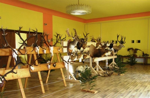 Hubert 2011