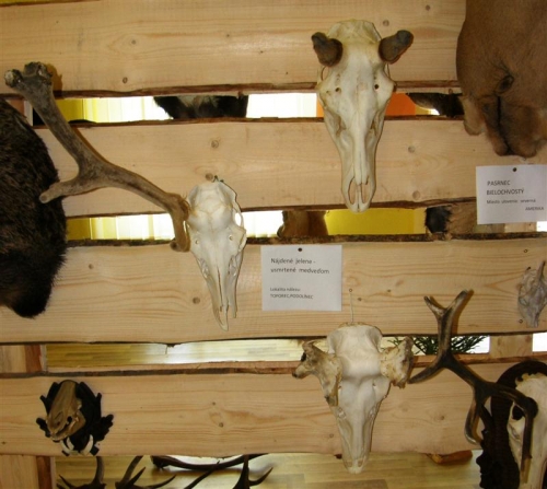 Hubert 2011