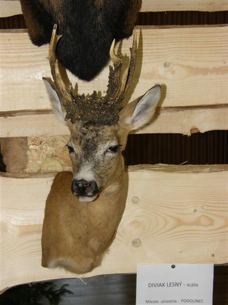 Hubert 2011