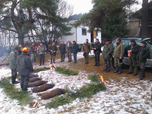Poľovačka na diviakov 2011