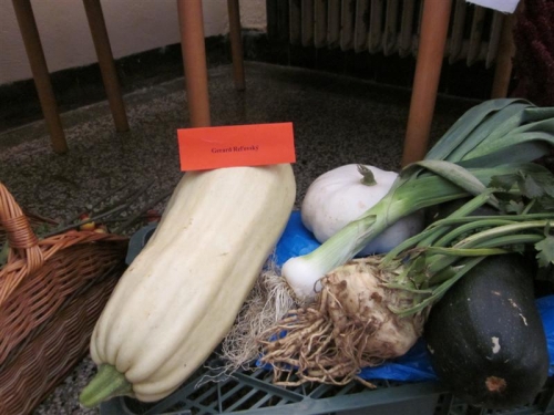 Záhradkárska výstava výpestkov 