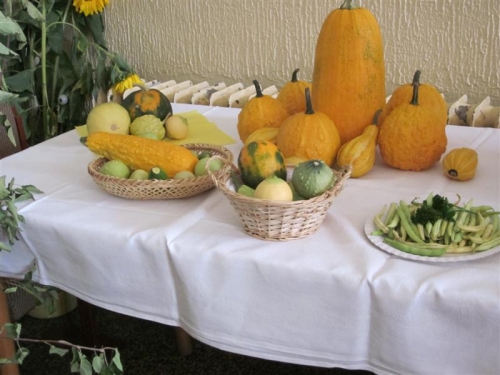 Záhradkárska výstava výpestkov 
