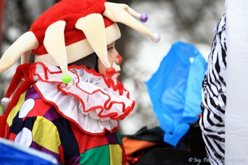 Lyžiarsky karneval 2013