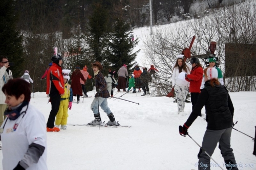 Lyžiarsky karneval 2013