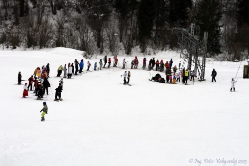 Lyžiarsky karneval 2013